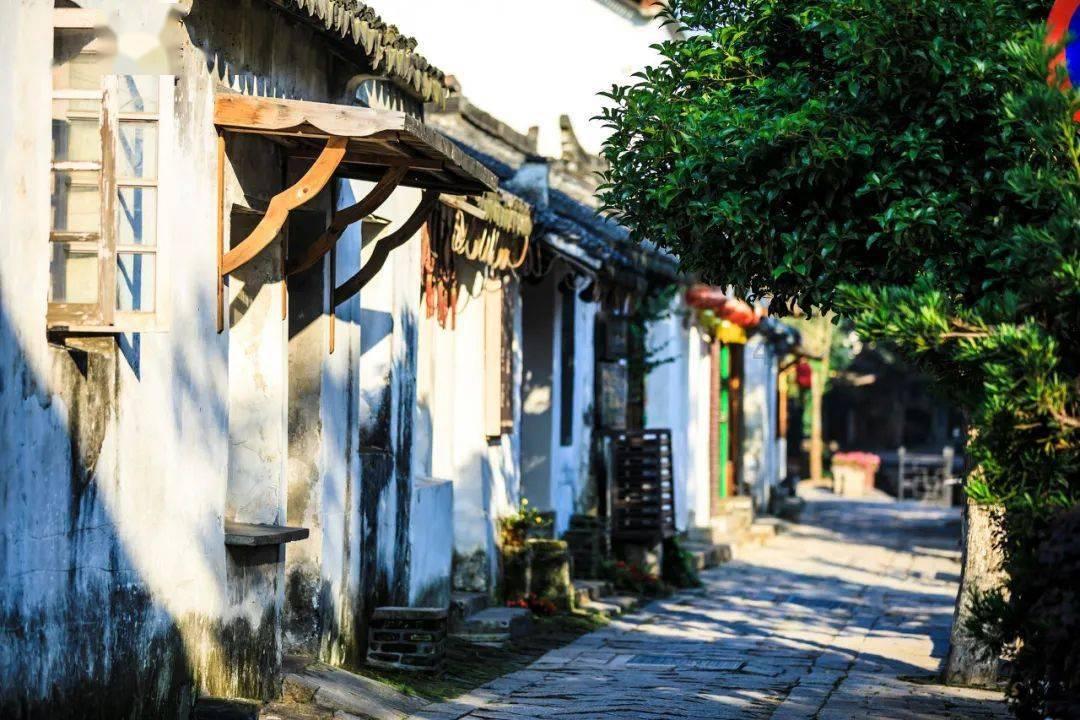 植物大战僵尸15